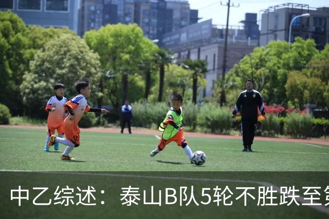 中乙综述：泰山B队5轮不胜跌至第4，厦门飞鹭三连胜终结无缘登顶